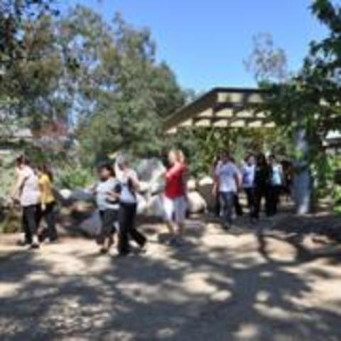 Transforming Trauma - Los Angeles