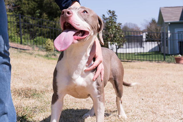 Guilty 'Til Proven Innocent