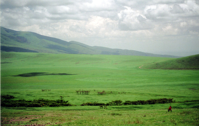 Homestead Act of 1862