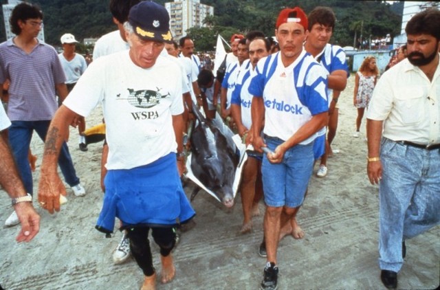 Last Dolphin in Brazil