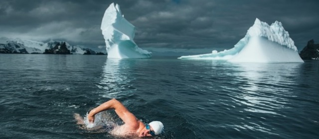 Diversidad biologica