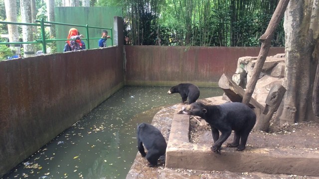 ley 1638 de 2013 prohibición de exhibir animales