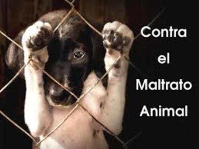 ley 1774 de 2016 catalogan los animales como  seres sintientes