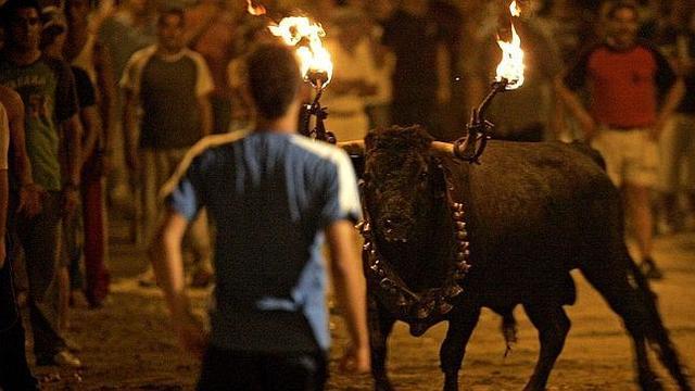 1º festejo - Toro de fuego