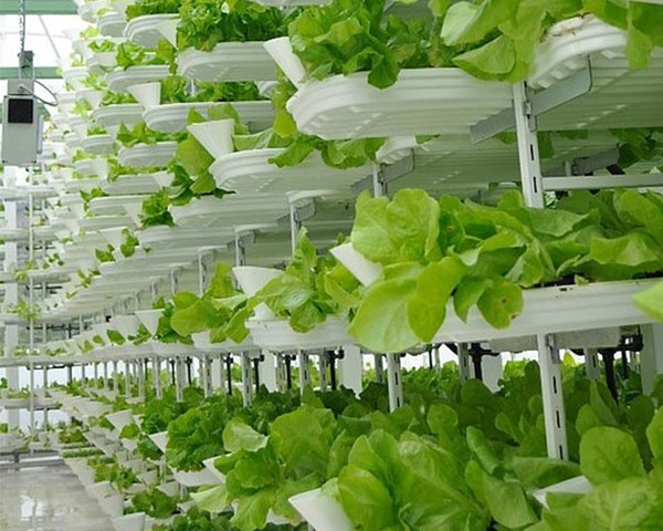NUEVAS TECNOLOGÍAS PARA LA AGROECOLOGIA