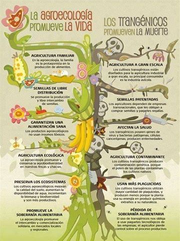 LA AGROECOLOGIA EN LA ACTUALIDAD