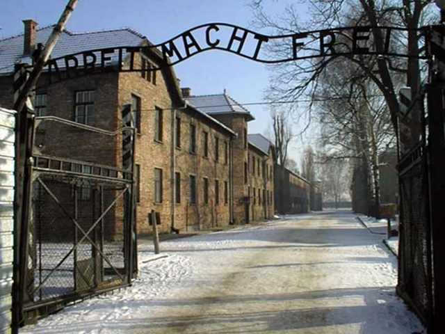 Auschwitz Liberated