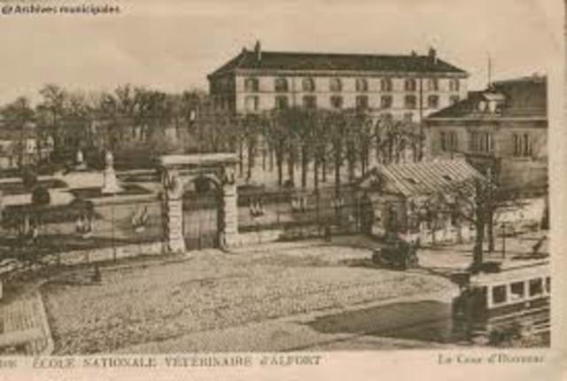 Segunda escuela de veterinaria