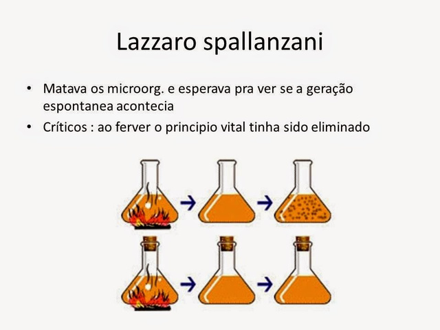 EXPERIMENTO DE SPALLANZANI