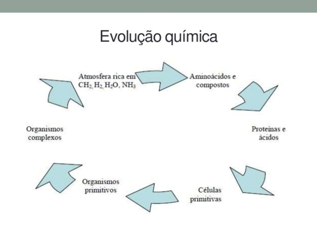 TEORIA DA EVOLUÇÃO MOLECULAR