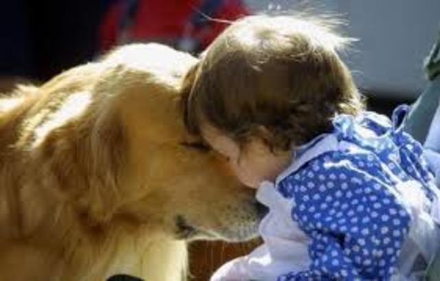 WHEN I WAS THREEYEARS OLD I  FIGH WITH ME´S  BROTHERS.I USED TO I PLAY DOG. I COULDNT  DRESSED  ONLY