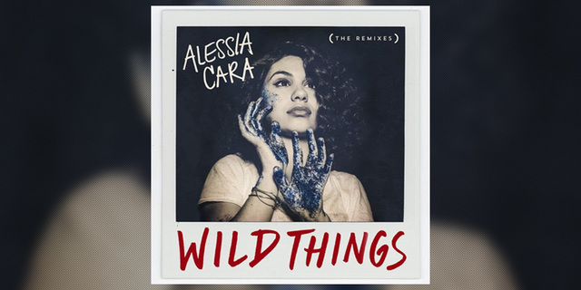"Wild Things" video is released