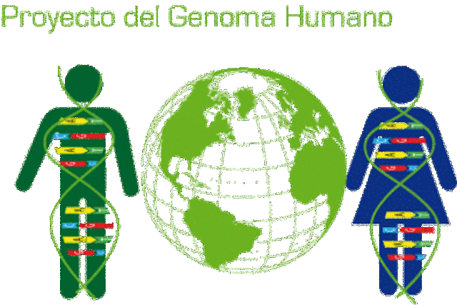 Proyecto Genoma Humano y Celera Genomics