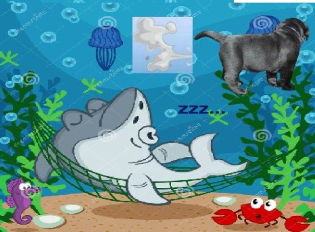 IC Ponte sul Marecchia (Scuola Primaria Rodari 3A)