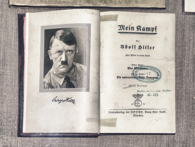 Hitler writes Mein Kampf