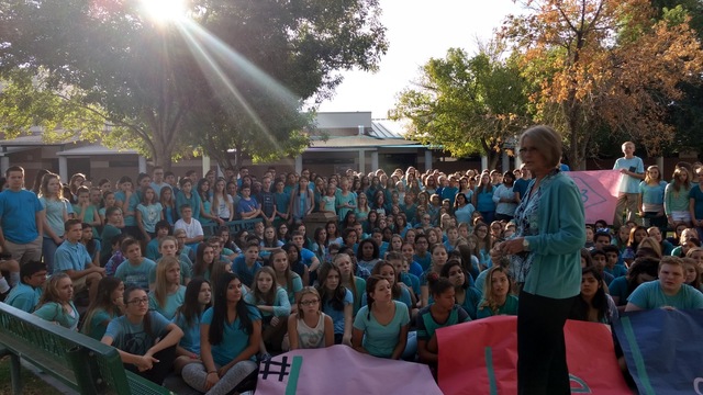 Bully Awareness at Schools