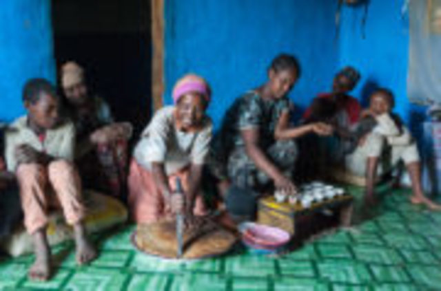 Tsege Improves Family Nutrition with Thriving Moringa Farm