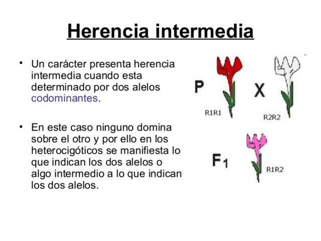 HERENCIA NO MENDELIANA