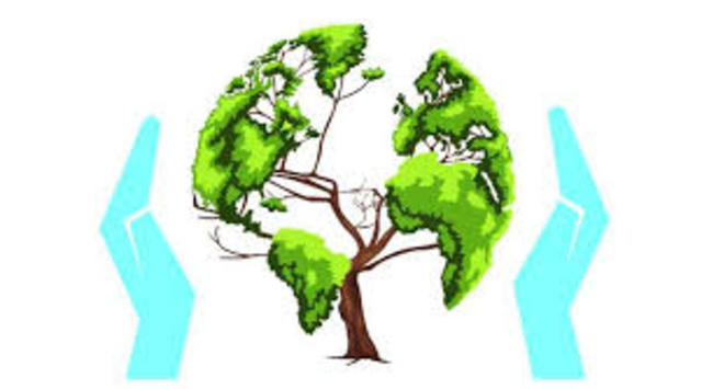 WORLD BANK CUTS FOREST DESTRUCTION FUNDING