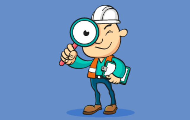 Primeras inspecciones gubernamentales