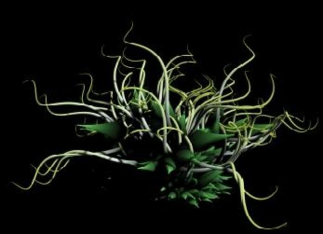 Primer virus informatico