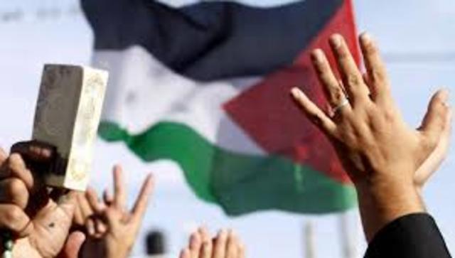 Organización para la Liberación de Palestina (OLP)