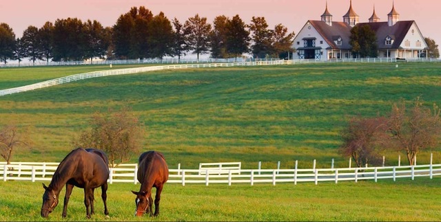 Clay Moves to Lexington