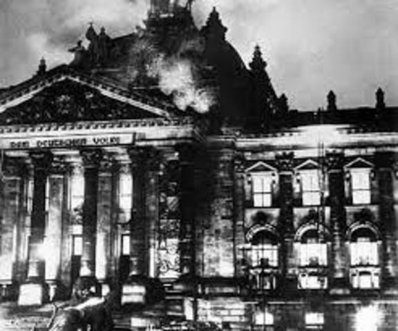 The Reichstag Fire