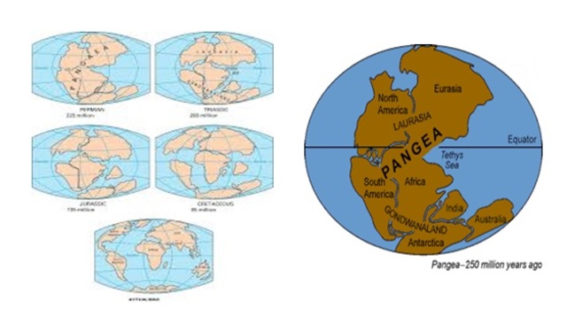 Formación de Pangea