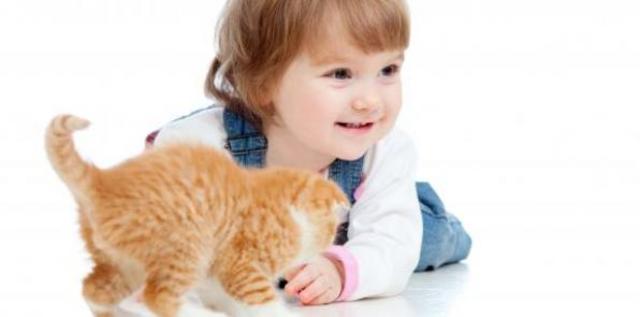 Beneficios De Tener Mascotas