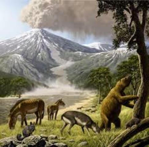 xurdimento dos primeiros mamiferos