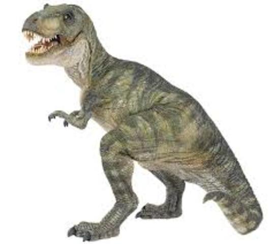 naceron os dinosauros.