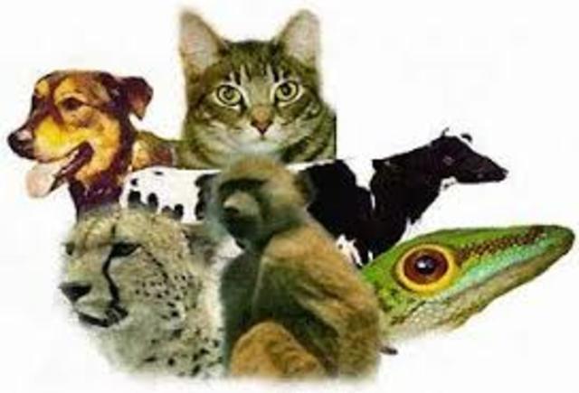 primeiros seres multicelulares.