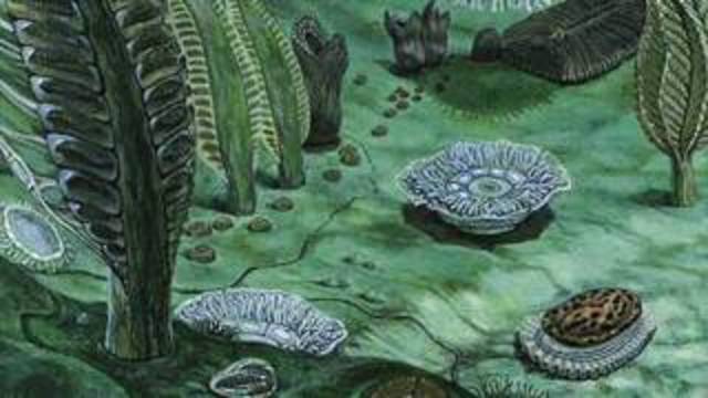 apareceron os primeiros seres multicelulares.