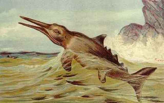 primeiros mamíferos.