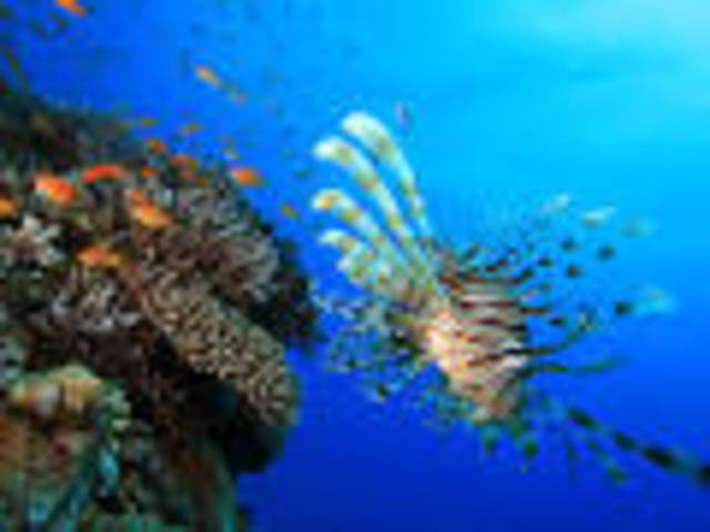 xurdiron os océanos.