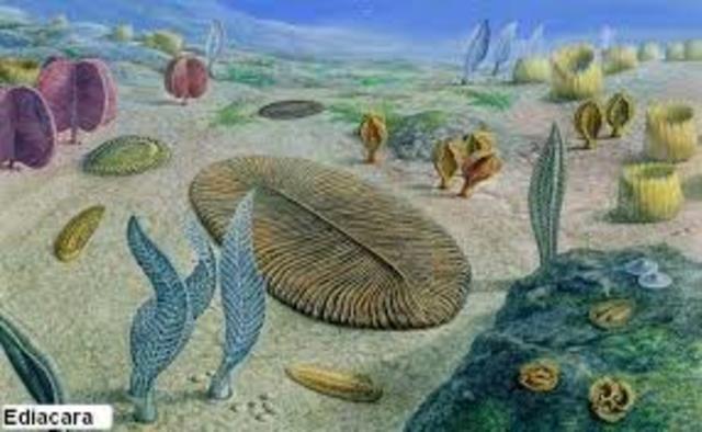 apareceron os primeiros seres multicelulares.