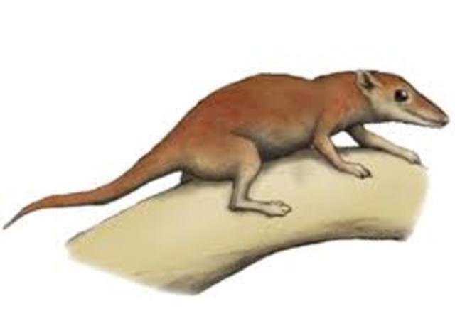 xurdiron os primeiros mamíferos.