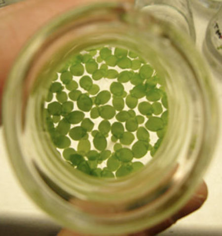 Overall Study Published