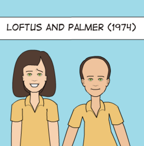 Loftus og Palmer hefja rannsóknir