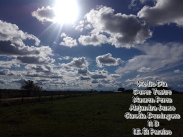 Trabajo final para exposición