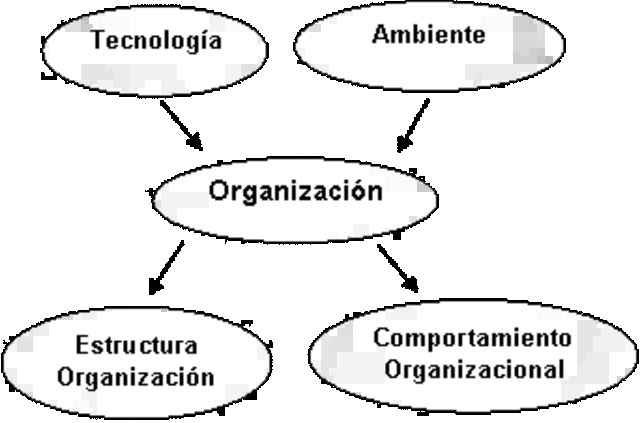 Teoria Situacional o de Contingencia.