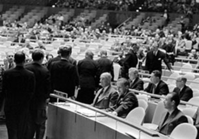 Toma de Acción por la ONU