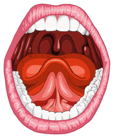 - Etapa fonográfica, SG que representan sonidos de la voz humana o sus inflexiones.