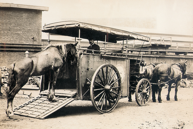 First Horse Ambulance