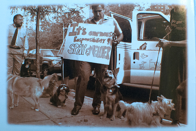 The ASPCA begins to spay/neuter adopted animals