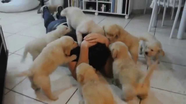 Chelmsford orders Colonel Wood's left flank to attack the Zulu stronghold at Hlobane