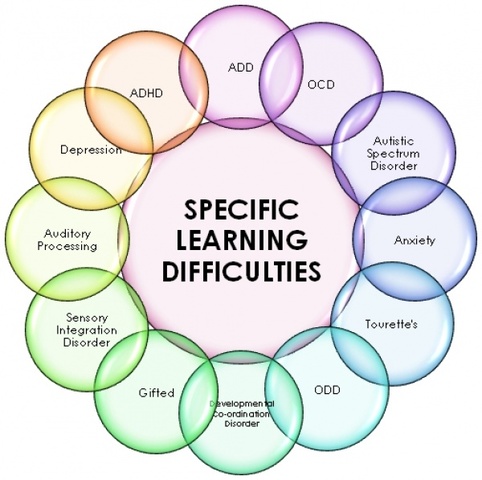 H.R. 1350, The Individuals with Disabilities Improvement Act (IDEA 2004)