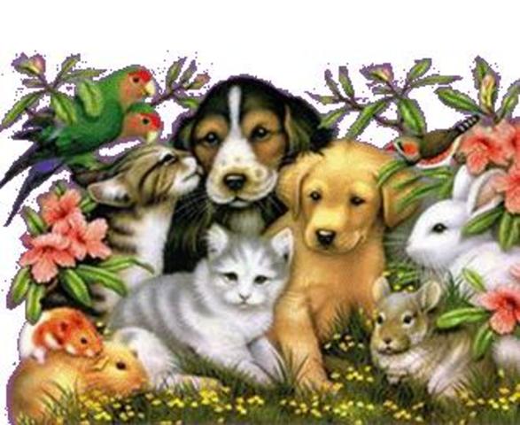 Especies Domésticas