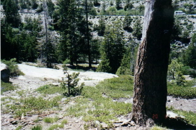 Keseberg's other Child dies